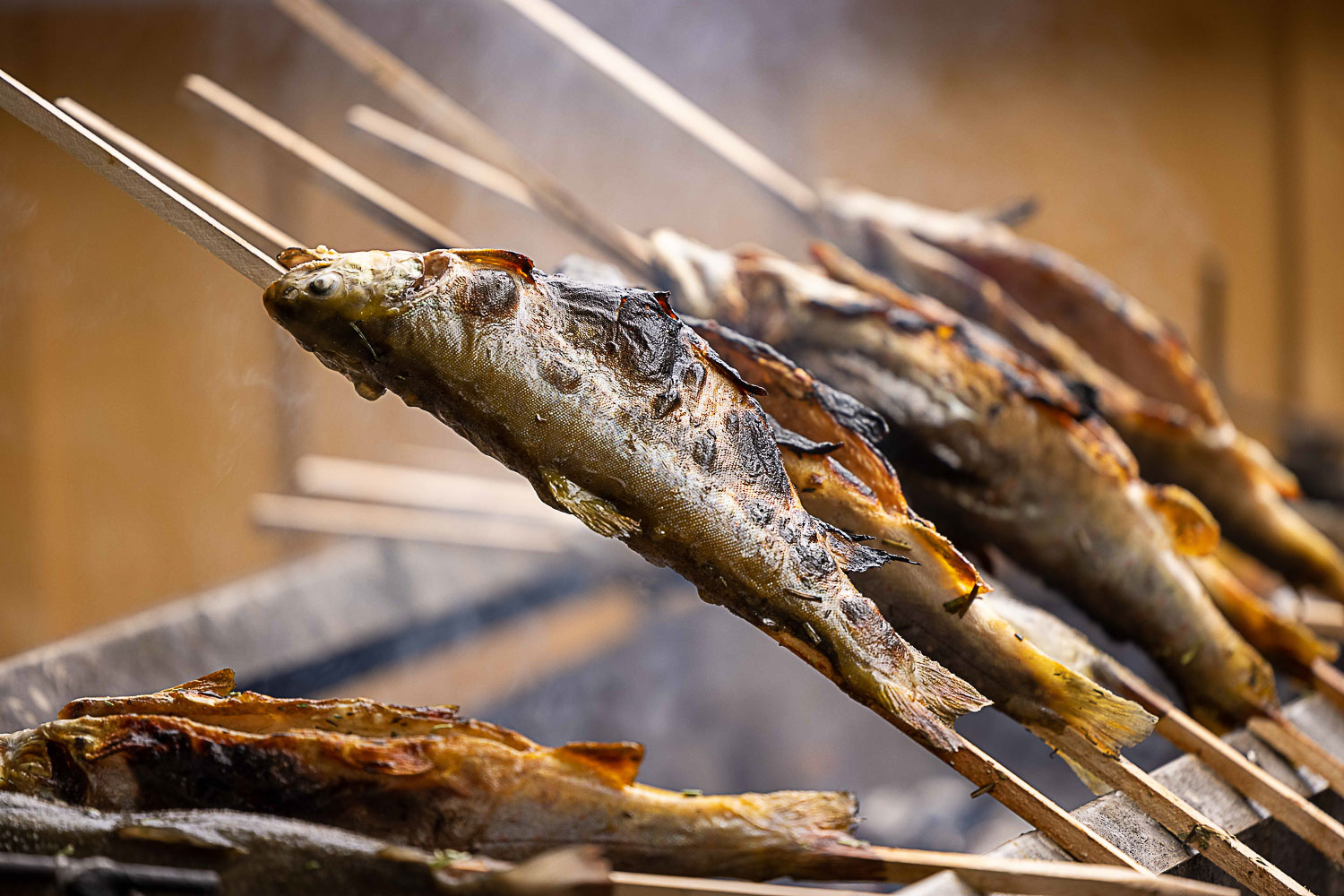 steckerlfisch-rs-1_1