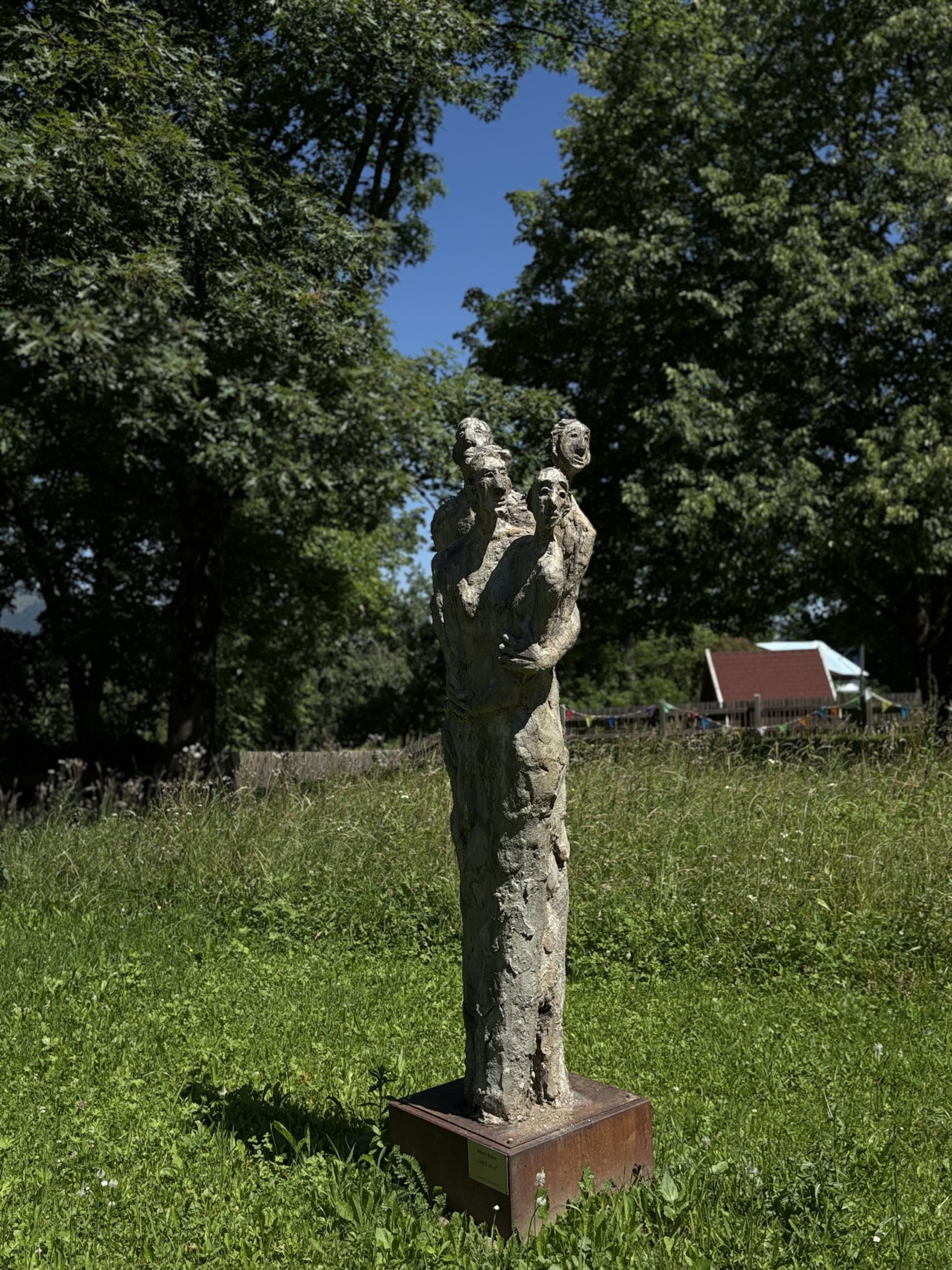 Moni Stein