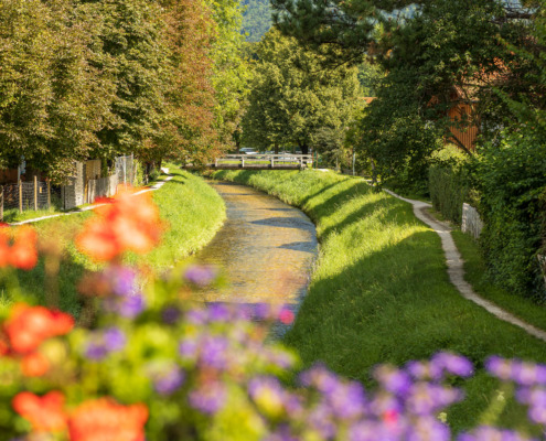 kneippen-woessner-bach-1