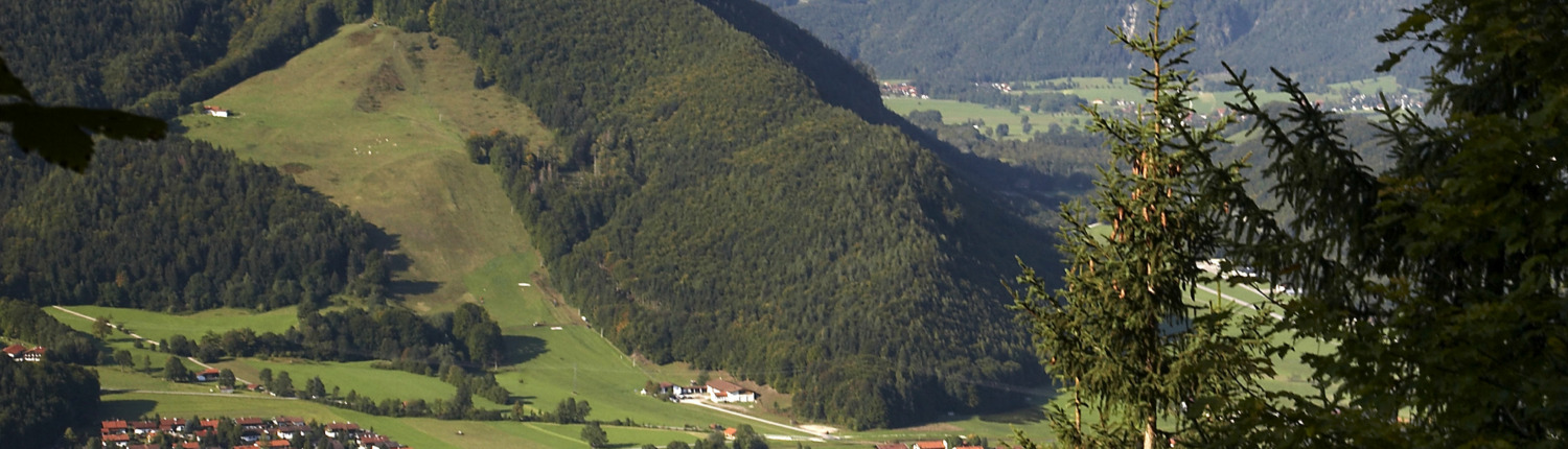 Götschl Andreas Maler und Lackierer