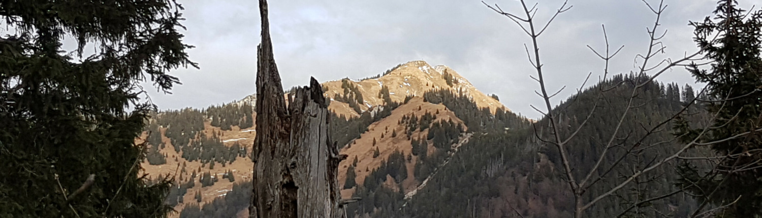 20161226_124404~-~1440w